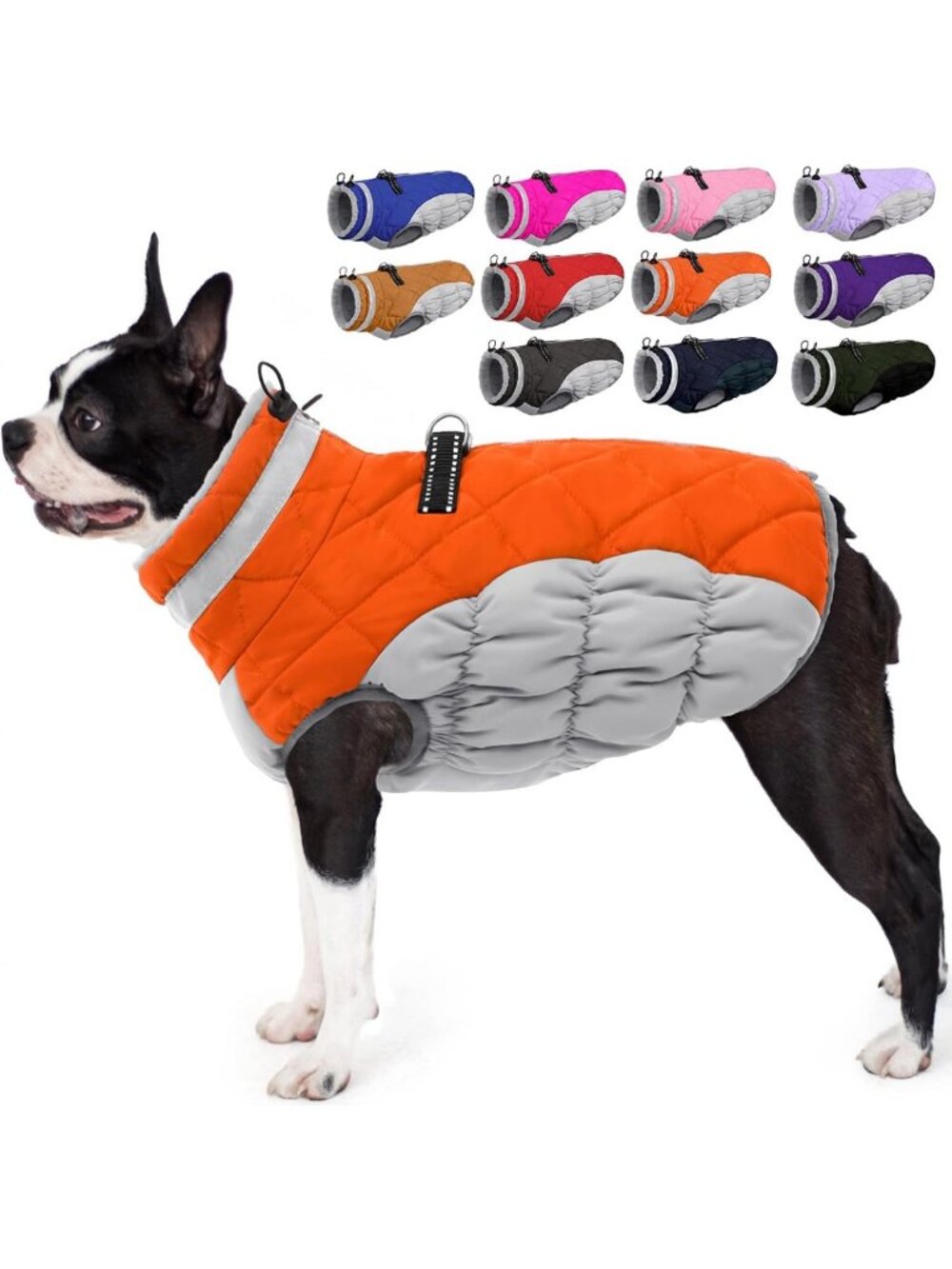 Waterproof Winter Dog Coat for Medium Dogs with Harness - Warm & Stylish